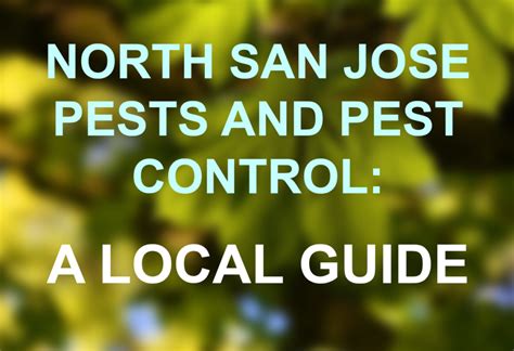 TOP 10 BEST Pest Control in San Jose, CA, United States .